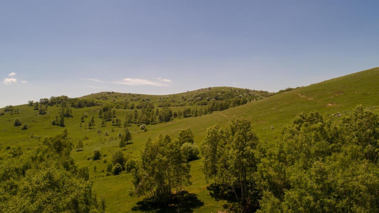 Vila Tea Novi Vinodolski Exterior foto